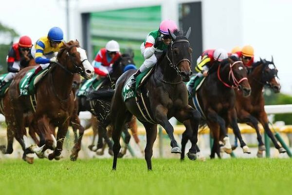 競馬の裏の基本法則と穴の法則 - オンラインサロンYOOR（ユア）